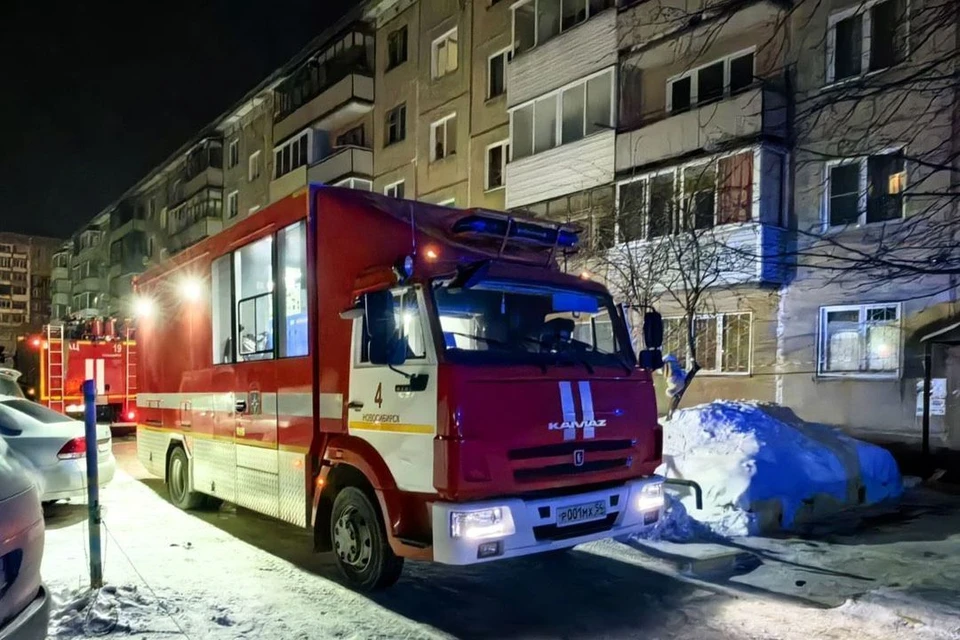 В Новосибирске при пожаре погибли два человека. Фото: ГУ МЧС по НСО.