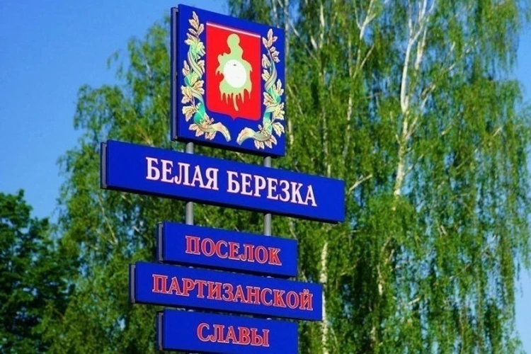 В Брянской области ВСУ обстреляли поселок Белая Березка