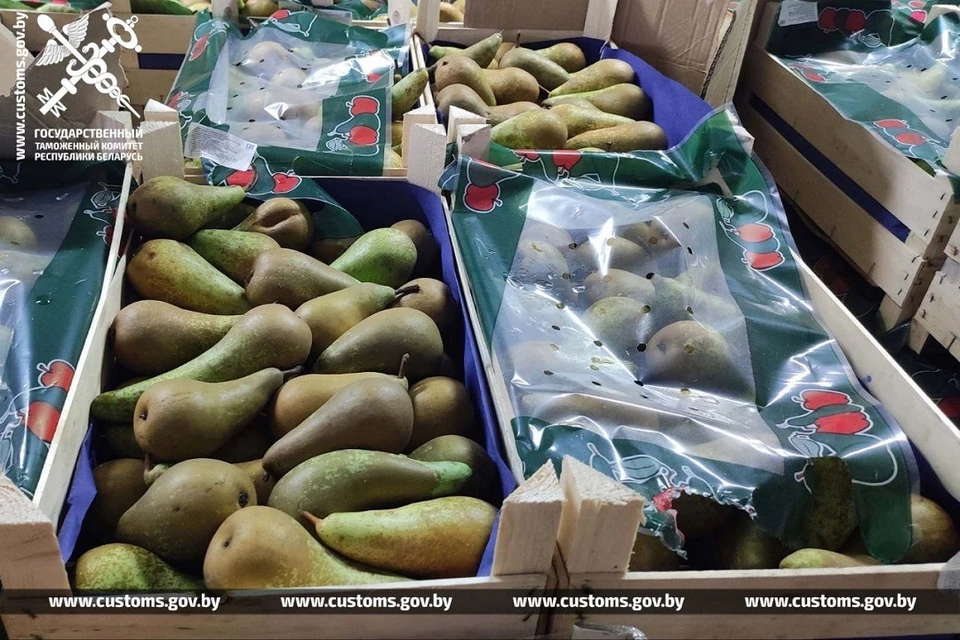 Таможня сообщила об учащении случаев нелегального вывоза продукции из Беларуси в Россию. Фото: ГТК.