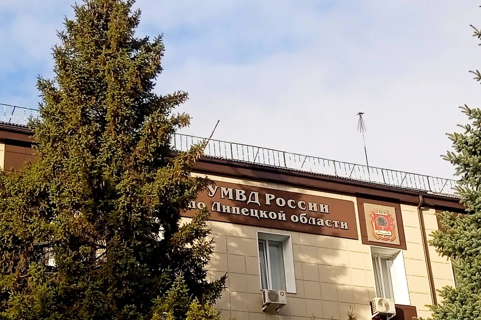 Жительница Липецкой области обманом оформила на себя машину умершего сожителя