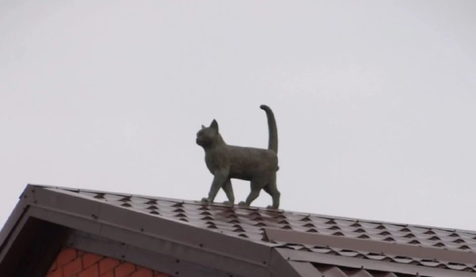 Мало кто знает, что в Ростове есть скульптура кота-донора
