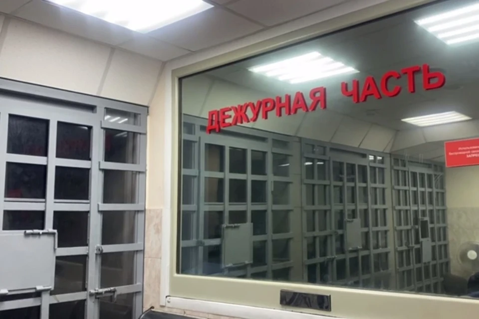 Фото: стоп-кадр видео транспортной полиции Сибири
