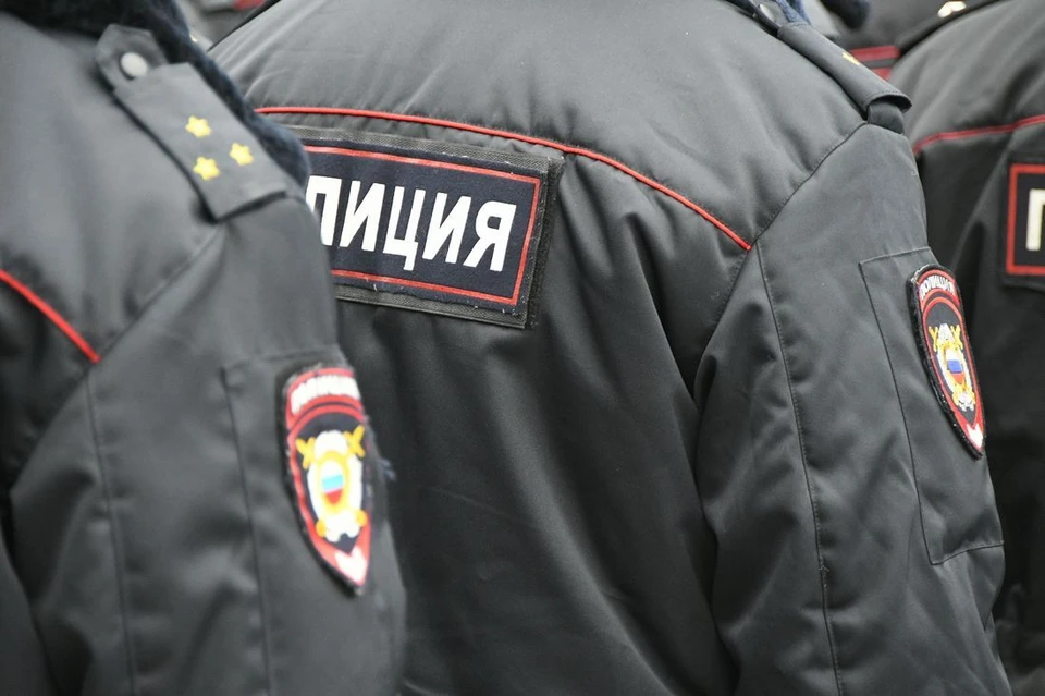 В Ясногорске Тульской области задержали похитителя магнитолы