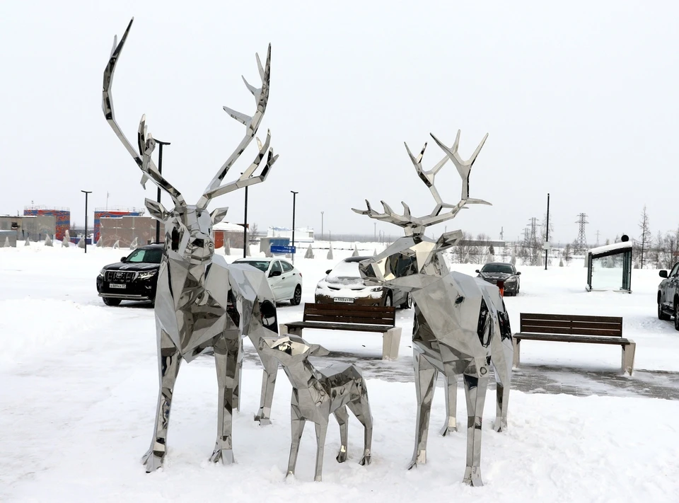 Фото: Андрей Воронов