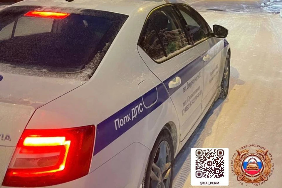 Фото: Госавтоинспекция Перми в телеграм