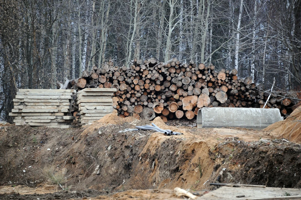 Краснодарцы пожаловались на вырубку деревьев.