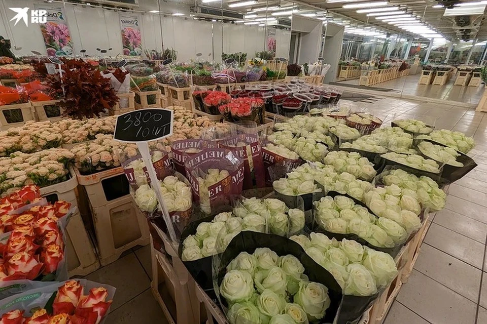 В Госдуме предложили ввести частичное госрегулирование цен на цветы