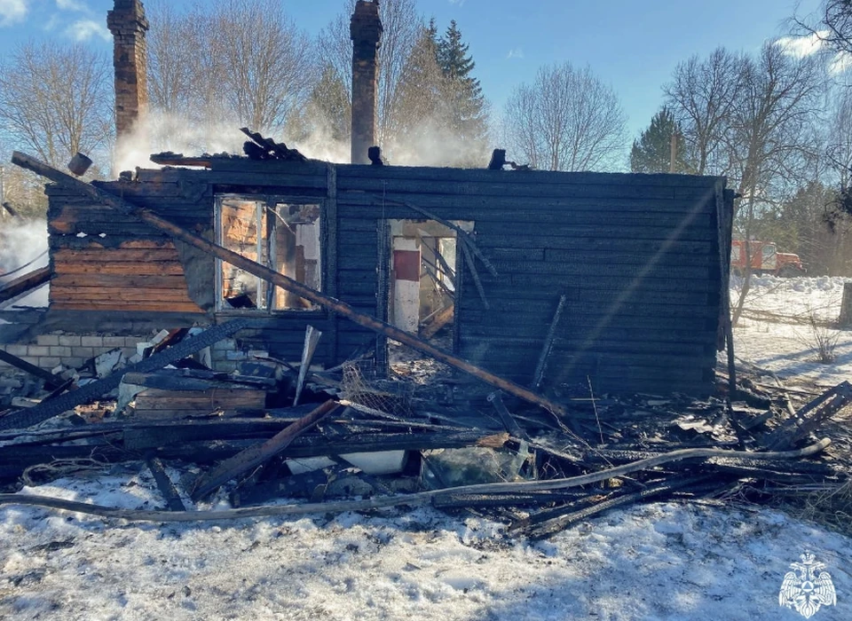 Женщина погибла в страшном пожаре в Смоленском районе Фото: ГУ МЧС России по Смоленской области