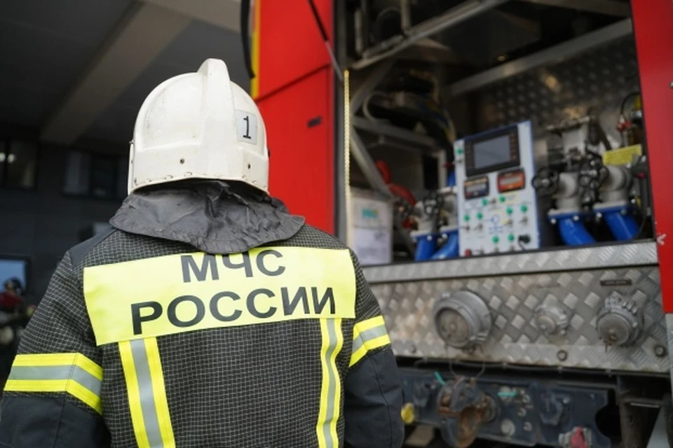 В Новосибирской области за неделю произошло 67 пожаров