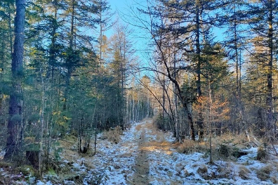 Мужчину бросили в лесу в сильные морозы