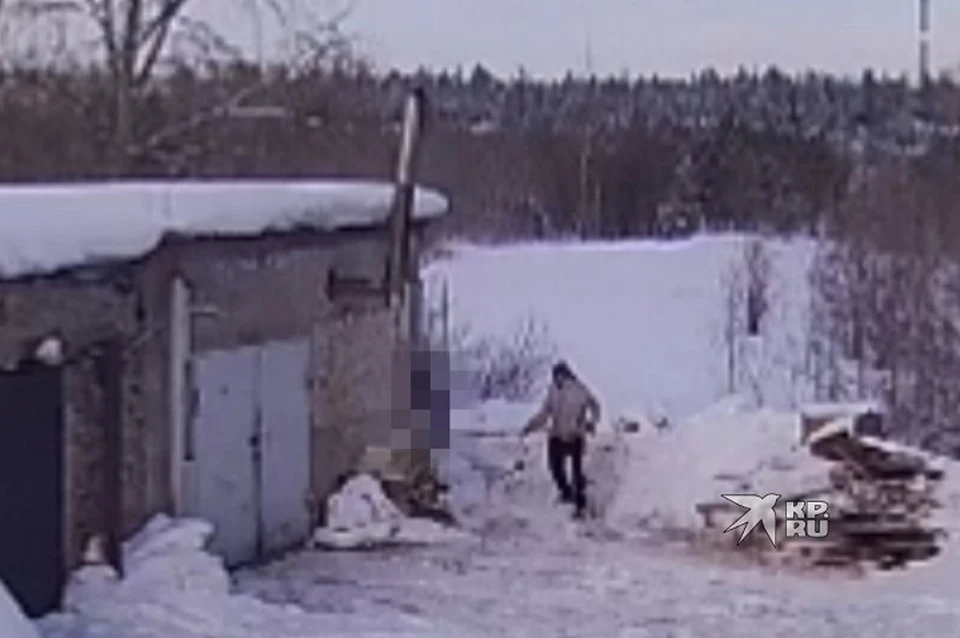 Собака извивалась и пыталась освободиться. Фото: скриншот видео