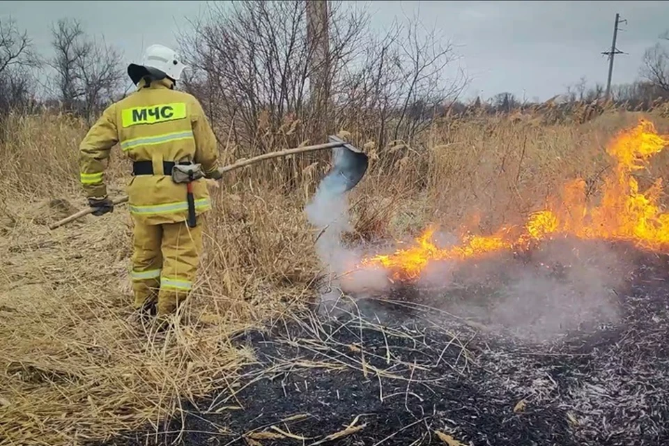 В Старобельском районе горела сухая трава на четырех гектарах. Об этом сообщили в МЧС ЛНР. Фото - МЧС ЛНР