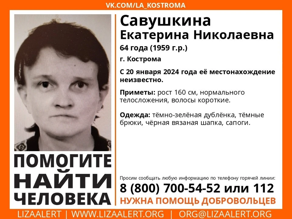 Фото: ДПСО "Лиза Алерт" Костромской области