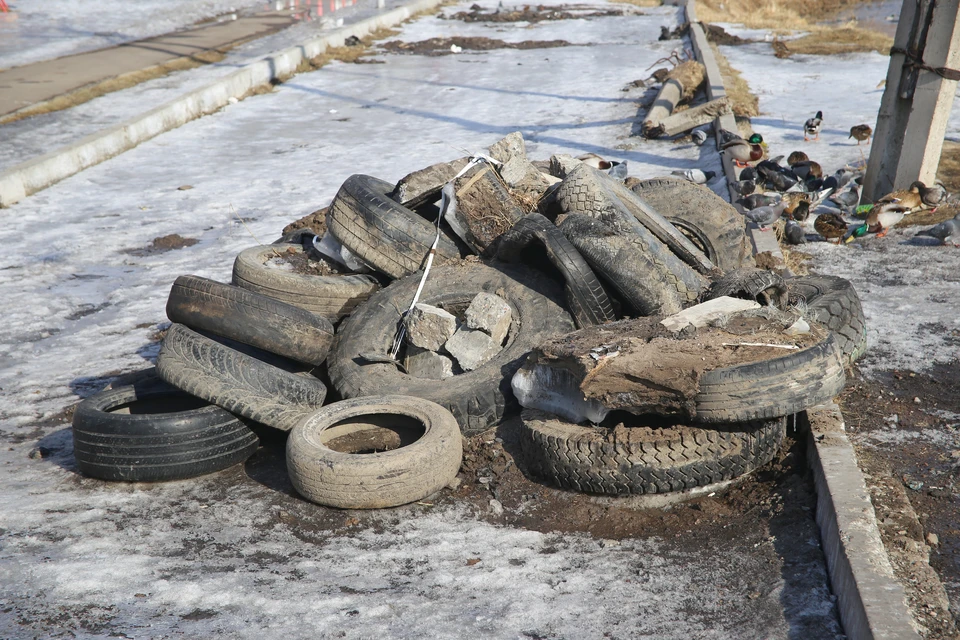 В центре Красноярска с начала года убрали 26 свалок