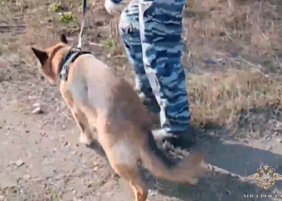 В Запорожской области полицейская собака по кличке Брахма нашел потерявшуюся пенсионерку. ФОТО: Ирина Волк