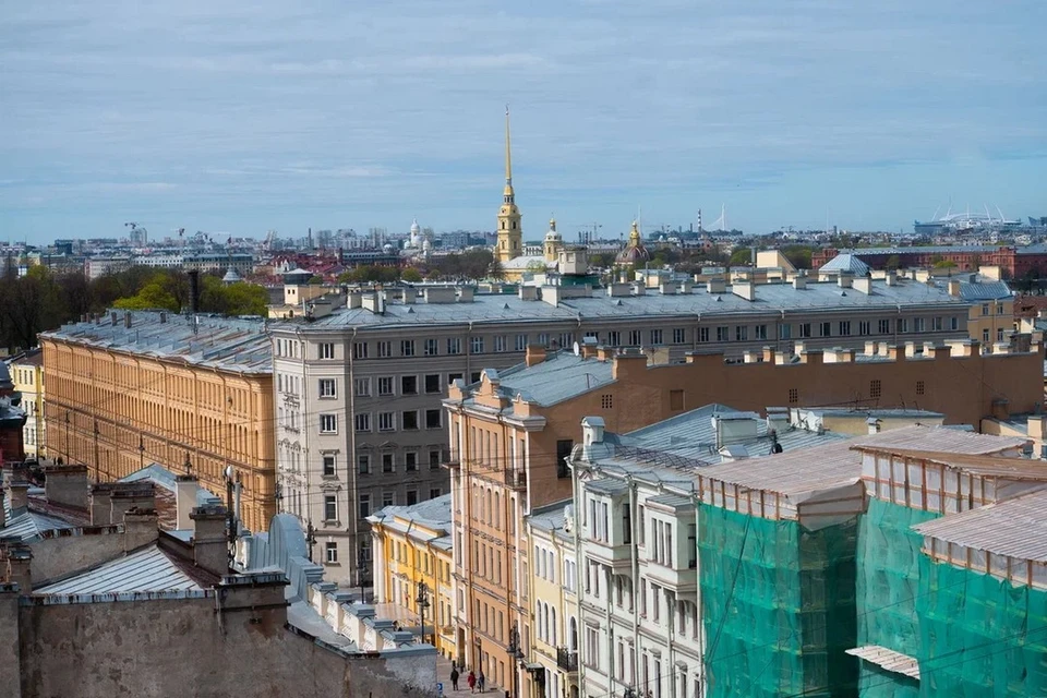 В Петербурге объявили конкурс на доработку экопарка в Юнтоловском заказнике.