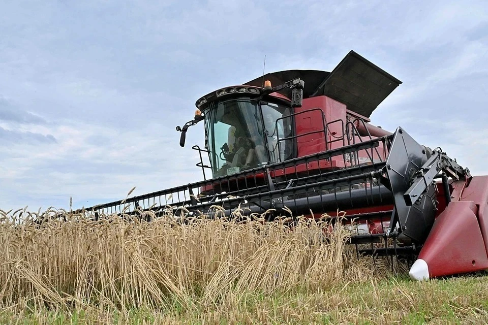 Евросоюз хочет ввести пошлину на импорт зерна из России и Белоруссии