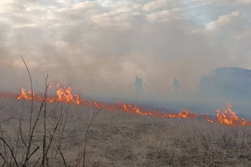 В 18 районах ЛНР 19 марта спасатели тушили 35 сухотравных пожаров. Фото - МЧС ЛНР