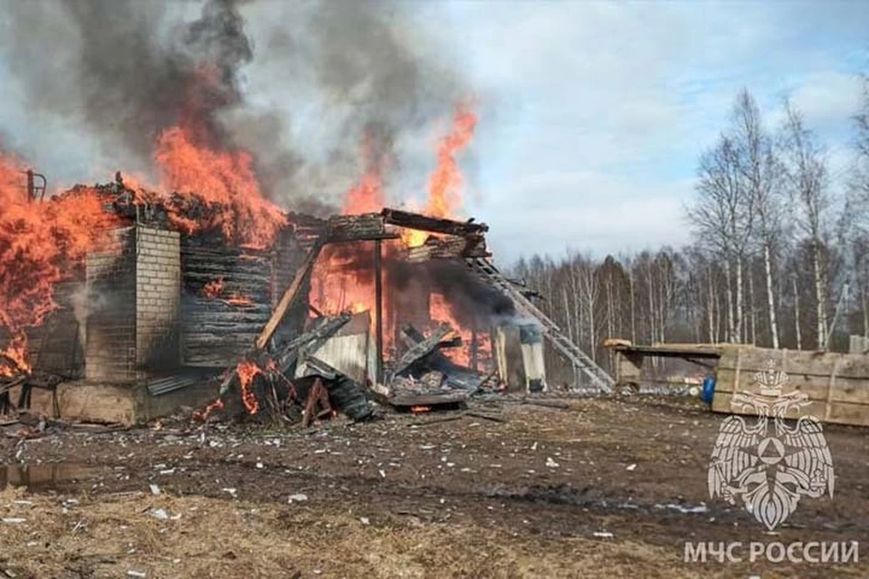 При пожаре на ферме погибли животные Фото: ГУ МЧС России по Тверской области