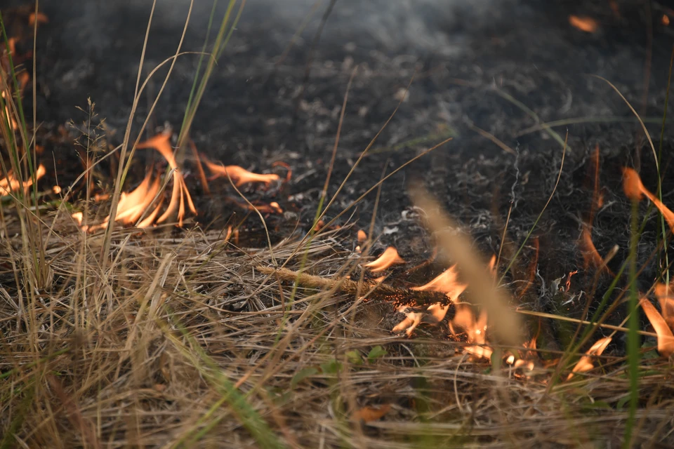 Контролируемый пал необходим в качестве профилактики ландшафтных пожаров