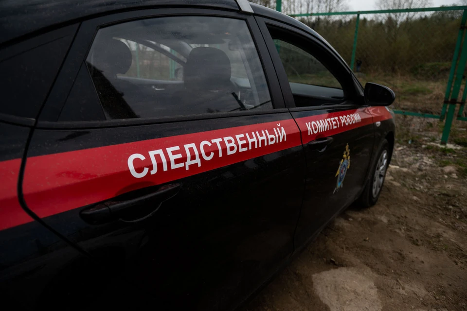 Следственный комитет возбудил уголовное дело после смерти 14-летней девочки на вписке в Петербурге.