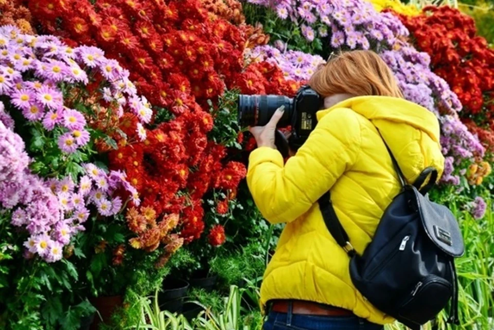 Победителя проекта по возрождению ботанического сада в Луганске назовут в июле