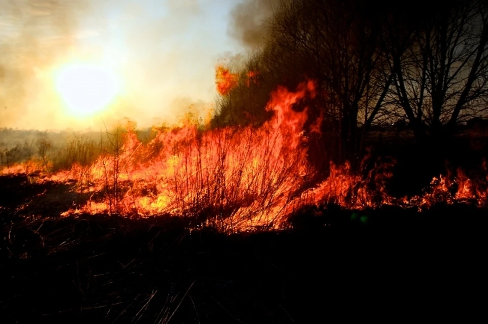 Ландшафтный пожар тушат огнеборцы в Аксае.
