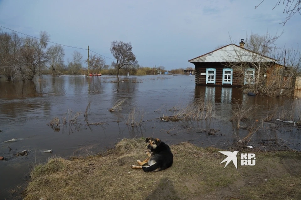 На Урале рассказали об ожидаемых последствиях паводка в текущем сезоне