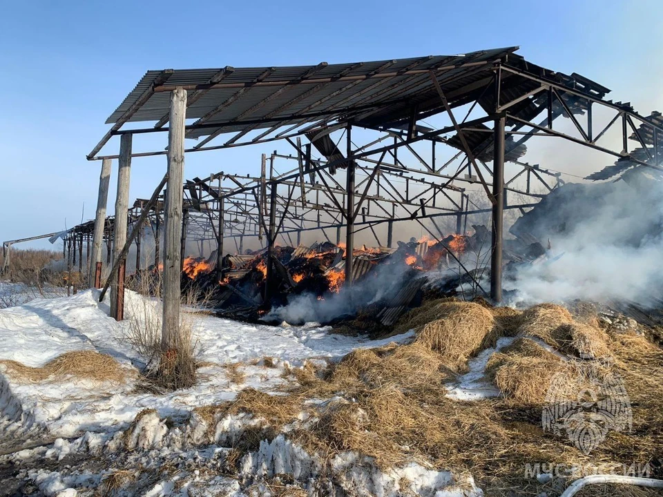 Пожарные ликвидировали крупное возгорание сена в Пильнинском районе