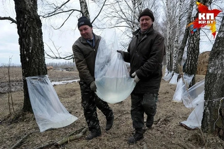 Как открыть интернет-магазин нижнего белья с нуля - пошаговая инструкция