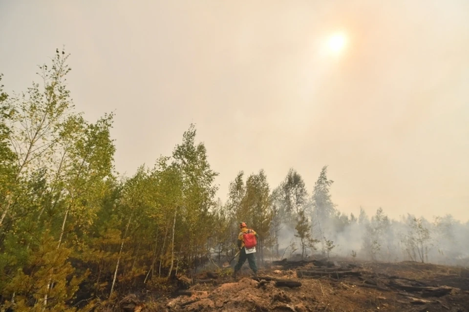 В лесничествах Ульяновской области готовятся к лесопожарному сезону. Фото архив КП