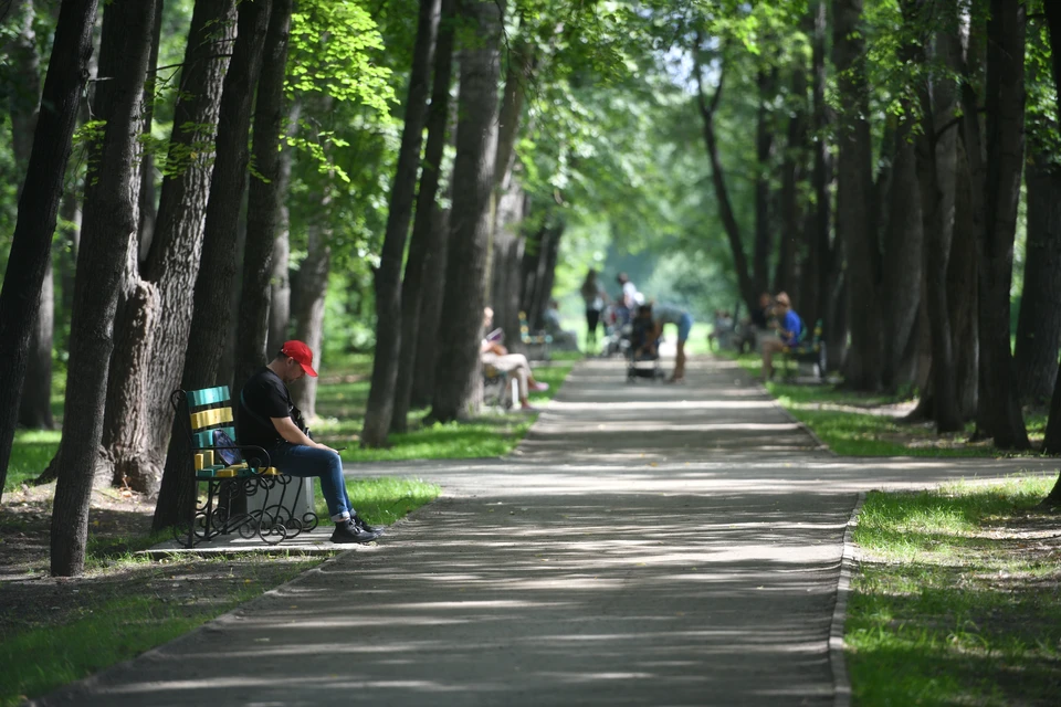 Голосование за благоустройство общественного пространства в 2025 году в Екатеринбурге завершится 30 апреля
