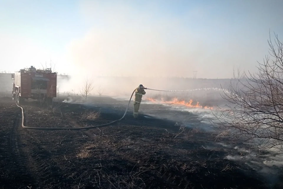63 сухотравных пожара тушили спасатели в ЛНР 27 марта. Фото - МЧС ЛНР