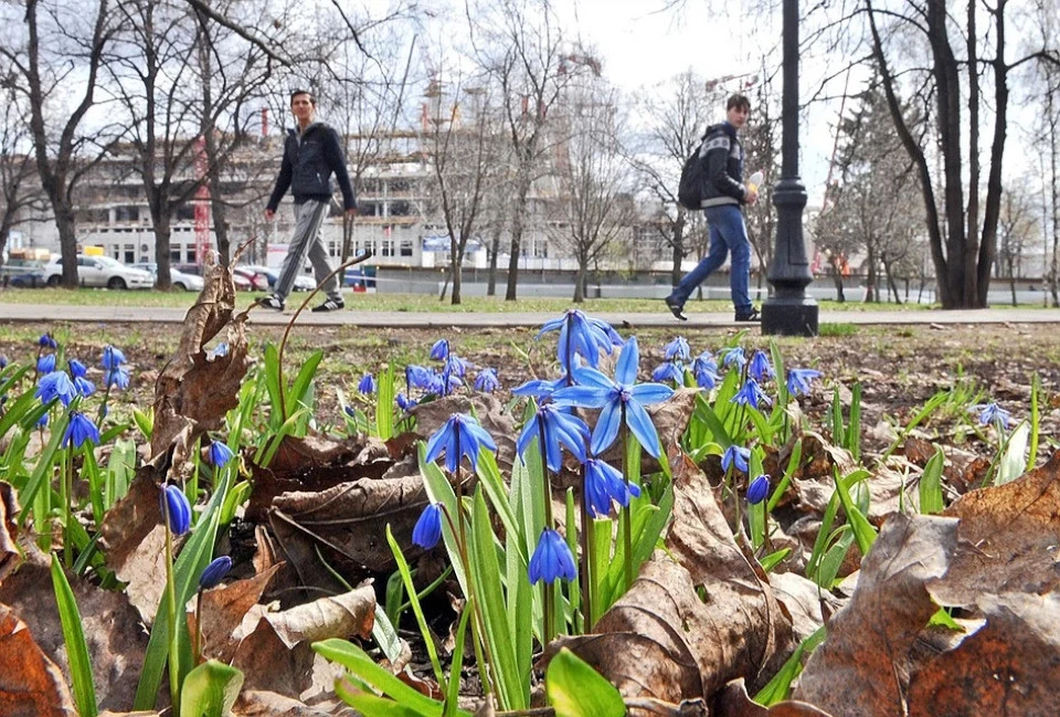 Весна в Твери в этом году радует теплом.