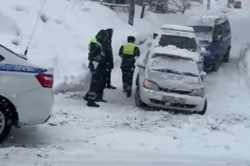 Водителей просят быть внимательными на дорогах. Фото: принтскрин видео chpkamchatka.