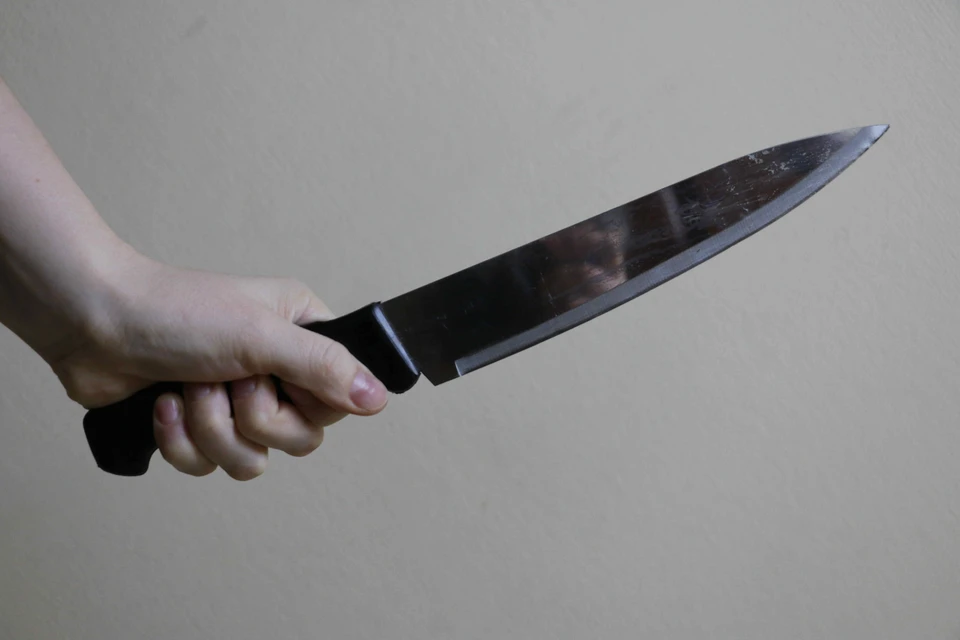 Жительница Богородицка Тульской области зарезала сожителя одним ударом кухонного ножа