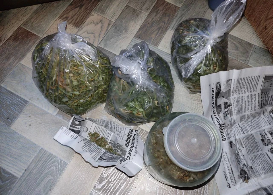 В доме у жителя Бердянска полицейские обнаружили три пакета с коноплей. ФОТО: ГУ МВД России по Запорожской области