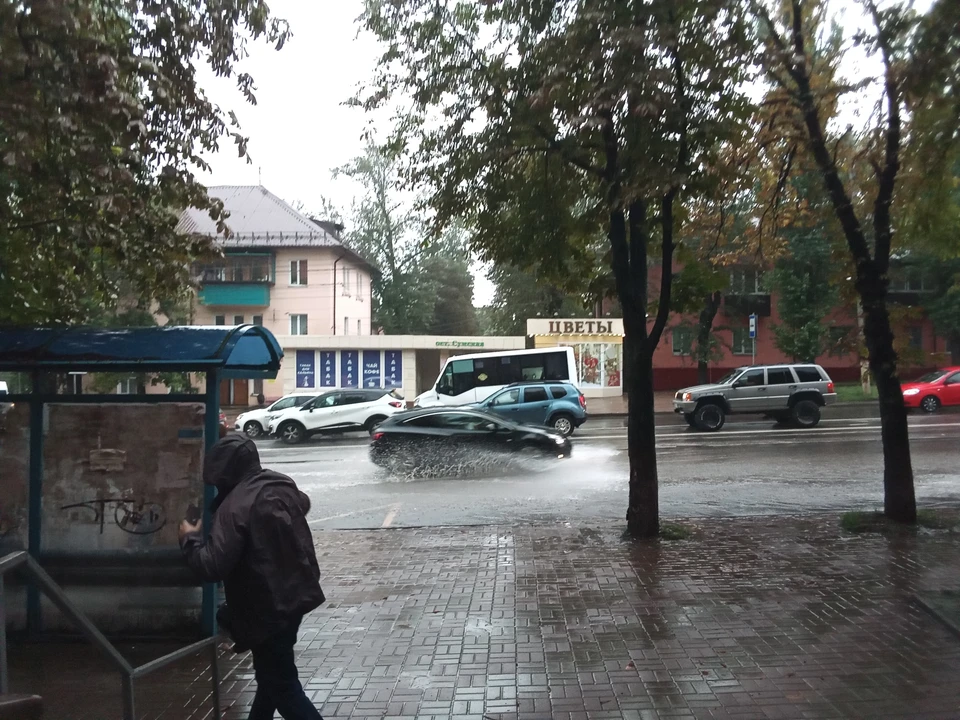 С начала года с места ДТП в Курске скрылись 64 водителя