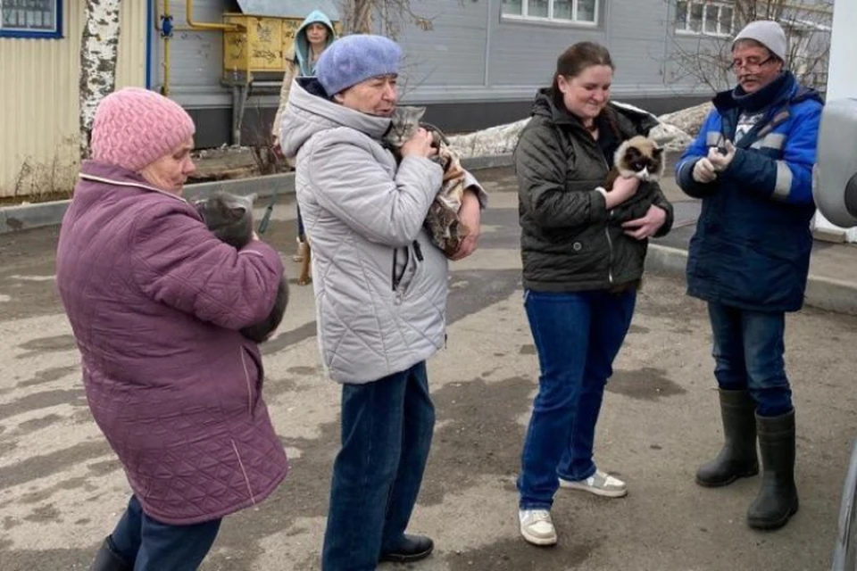 Кировчане могут бесплатно привить от бешенства идентифицированных животных. Фото: киров.рф