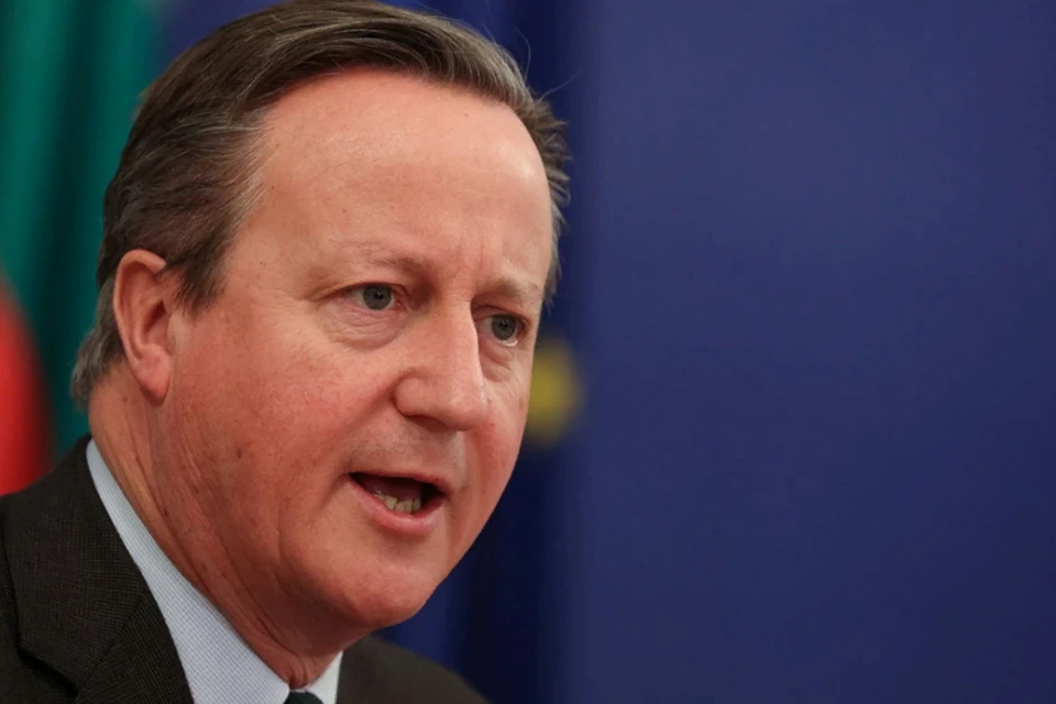 Глава МИД Британии Кэмерон призовет НАТО совместно закупать оружие для Киева
