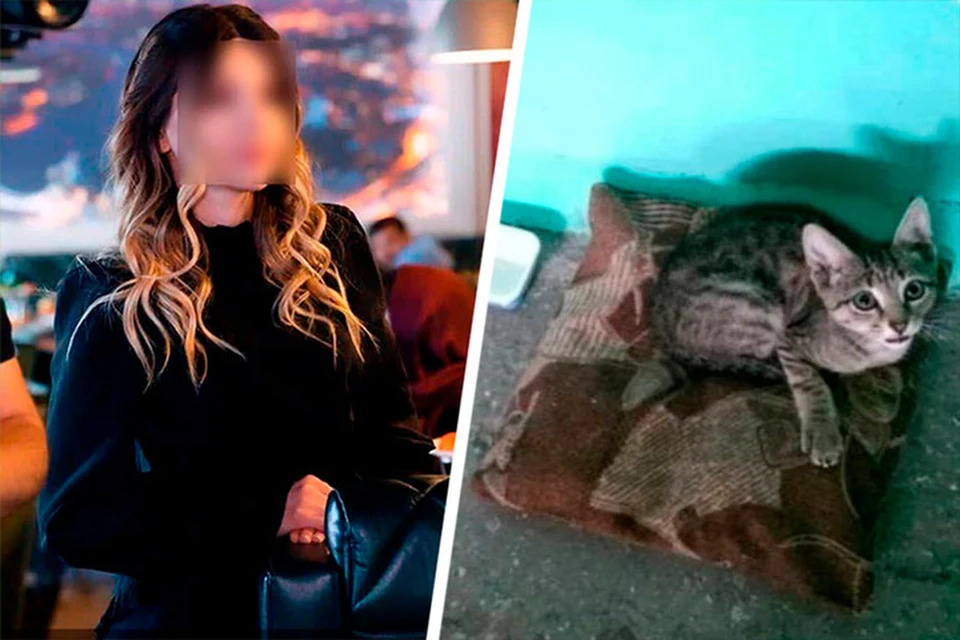Парень убил девушку во время ссоры из-за кошек в подъезде. Фото: соцсети