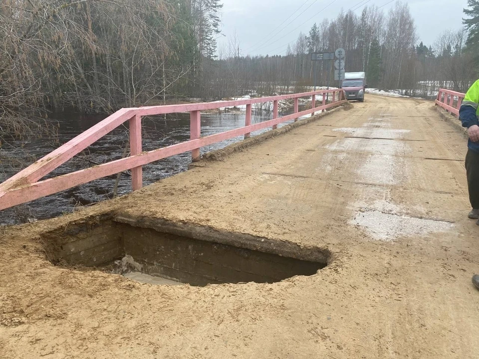 Фото со страницы Светланы Грачевой