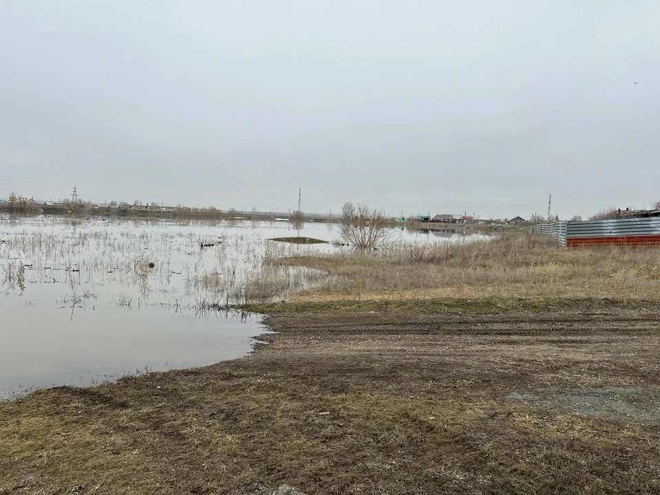 Большая вода подбирается к домам и огородам. Фото: телеграм-канал Василия Козупицы