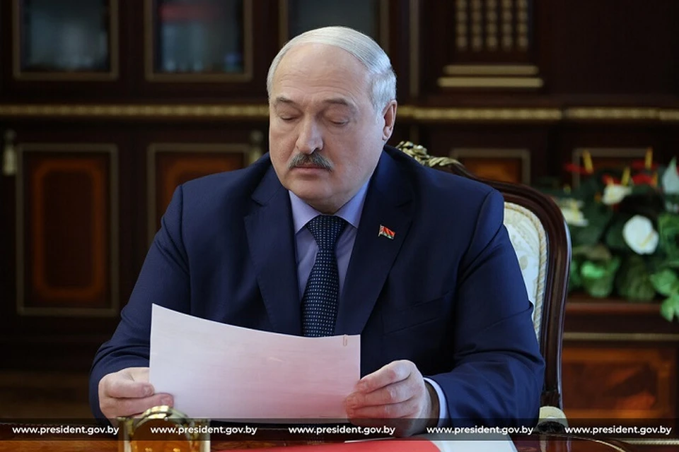 Лукашенко сказал, почему нужны замены в кадровом реестре президента. Фото: архив president.gov.by.
