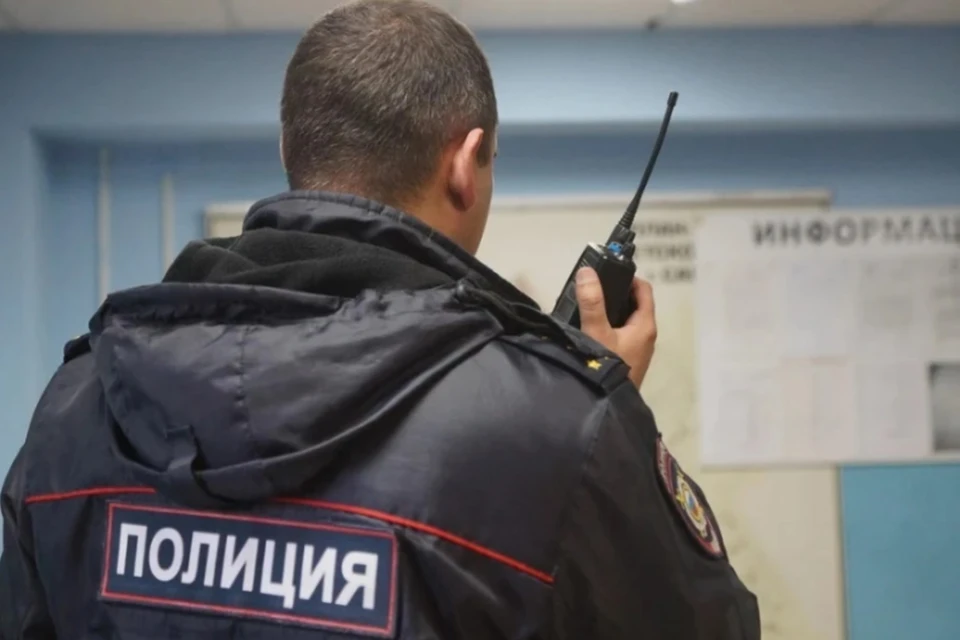В квартире подозреваемого в нападении на Чибиса в Санкт-Петербурге прошел обыск