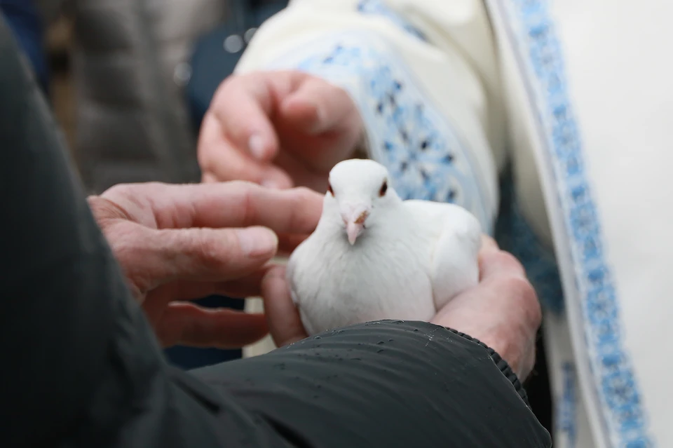 В Благовещение по традиции у многих храмов отпускают в небо голубей