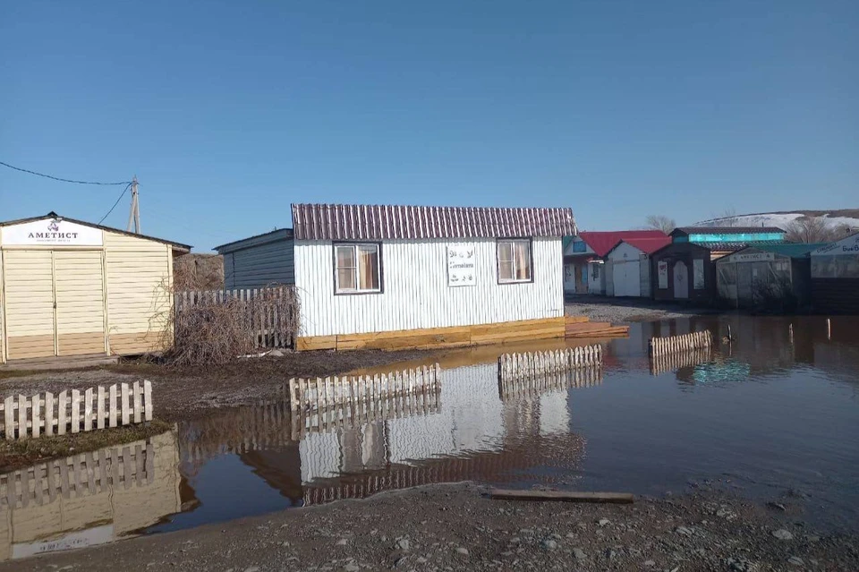 Дома подтопило на юге области. Фото: пресс-служба правительства.