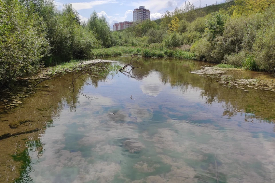 Сейчас толщина донных отложений в озере составляет более метра. Фото: kirovreg.ru
