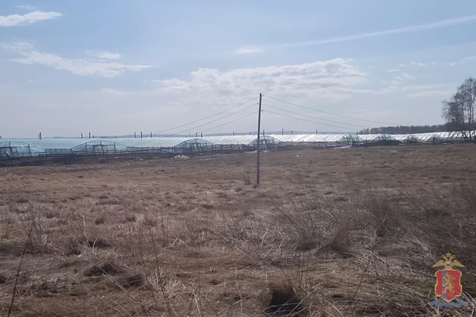 Фото: полиция Красноярского края