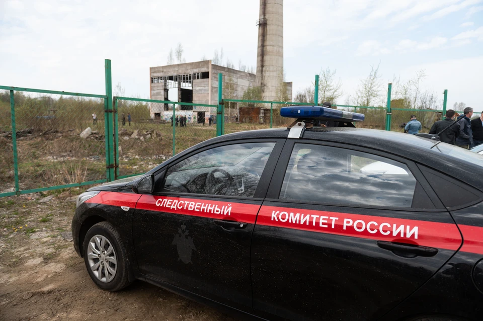 Петербурженка укрывала сожителя, надругавшегося над ее 10-летней дочкой.
